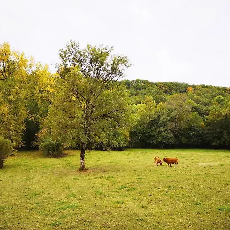 Mas De La Combe Cachée