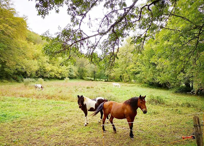 Mas De La Combe Cachée Villefranche-de-Rouergue