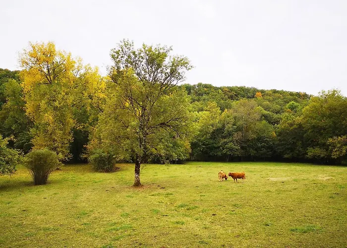 Mas De La Combe Cachée